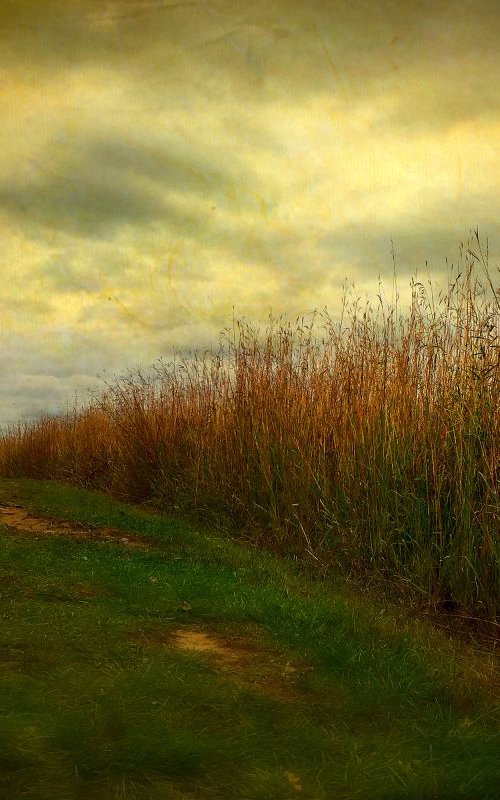 Long Walk Home by Robert Tolchin