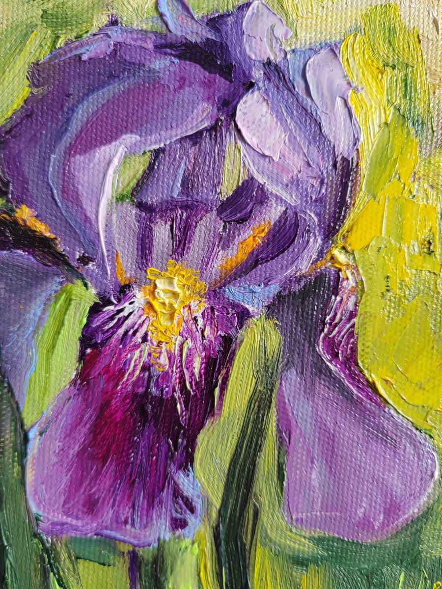 Purple iris flower Oil painting by Leyla Demir | Artfinder