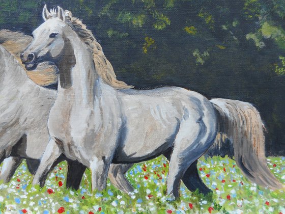 WHITE HORSES IN MEADOW