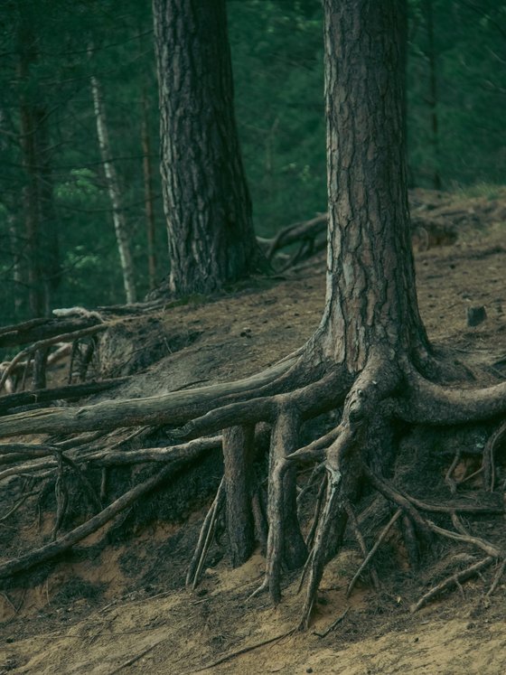 Holding the Ground