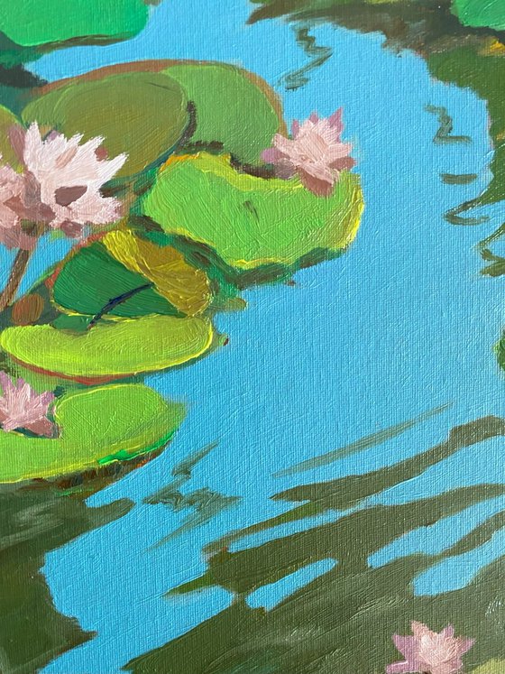 Lotus flowers