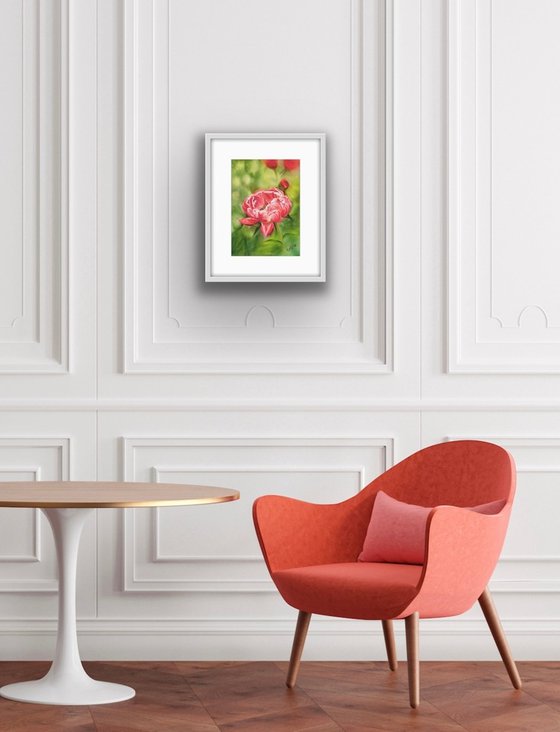 Floral: Coral Peony 1