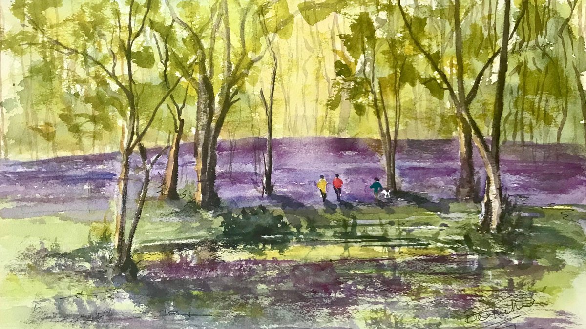 Impressionistic Botanical Watercolour By Brian Tucker, 16 X 9, Bluebells At Arlington Woods, Original Artwork