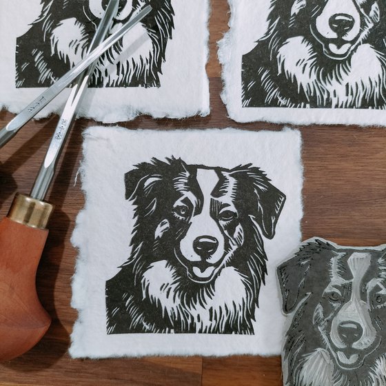 Border Collie Mini Print