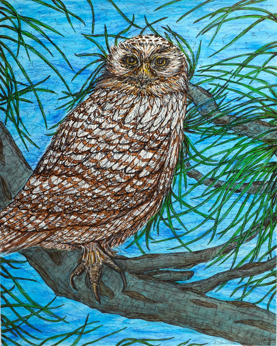 Animal Watercolour By Kim Jones Miller, 16 X 20", Coming Into Her Wisdom, Original Artwork