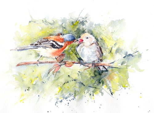 Chaffinch painting, Bird watercolour, Original Watercolour Bird painting, Fathers day gift by Anjana Cawdell
