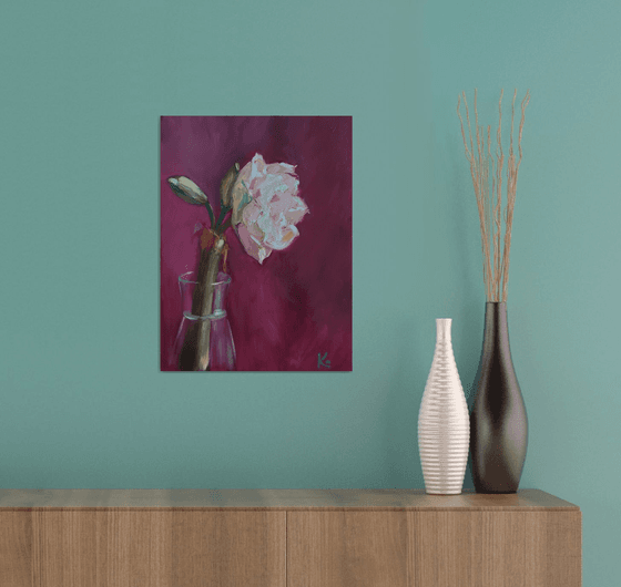 Still-life with flower "Amaryllis"