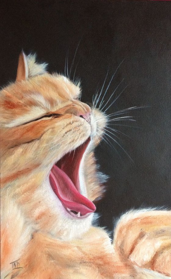 Sweet yawn. Portrait of a ginger Cat