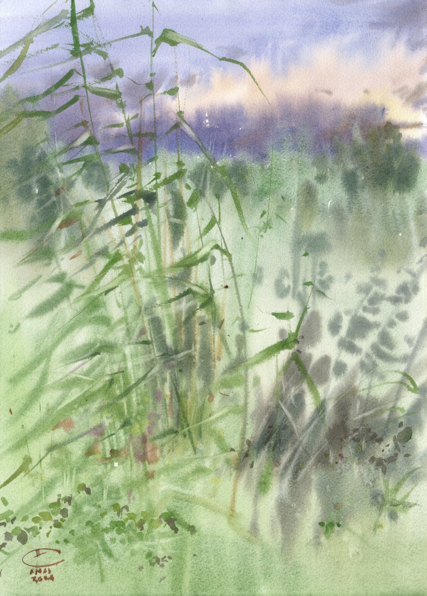 Impressionistic Landscape Watercolour By Tatyana Tokareva, 12 X 17", Roseau, Original Artwork