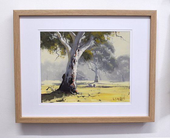 Australian Eucalyptus tree &amp; Farm shed