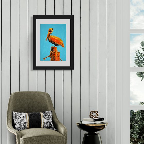 Pelican
