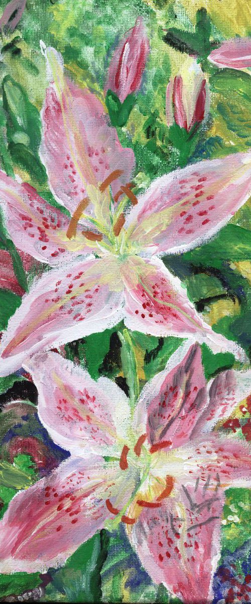 pink lilies in the border by Sandra Fisher