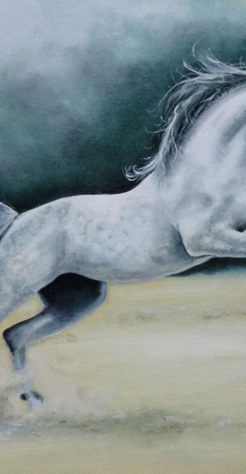 Arabian Spirit by Mel Davies Original Art