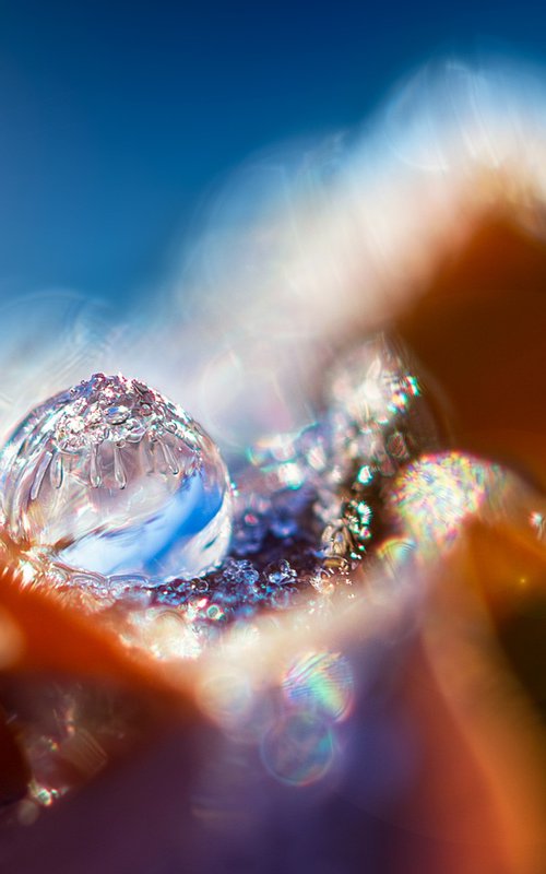 IGLOO ON THE EDGE OF THE FALLEN LEAF by Inna Etuvgi