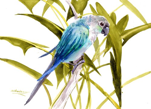 Turquoise Conure Parakeet, Parrot painting by Suren Nersisyan