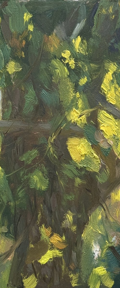 Sunlight through a Walnut Tree by Alex James Long