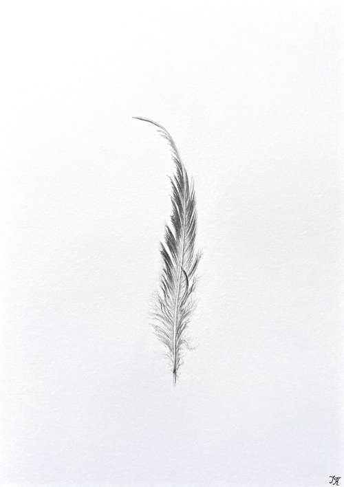 Elegant feather by Tetiana Kovalova