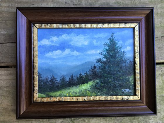 MOUNTAIN PINE - oil 5X7 (SOLD)