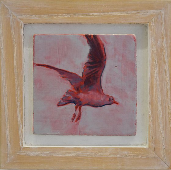 Seagull (red)