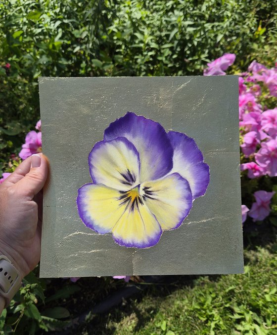 Pansy #18