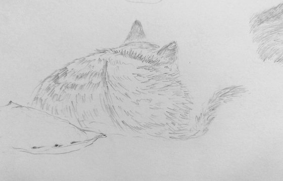 Cats. Original pencil drawing.