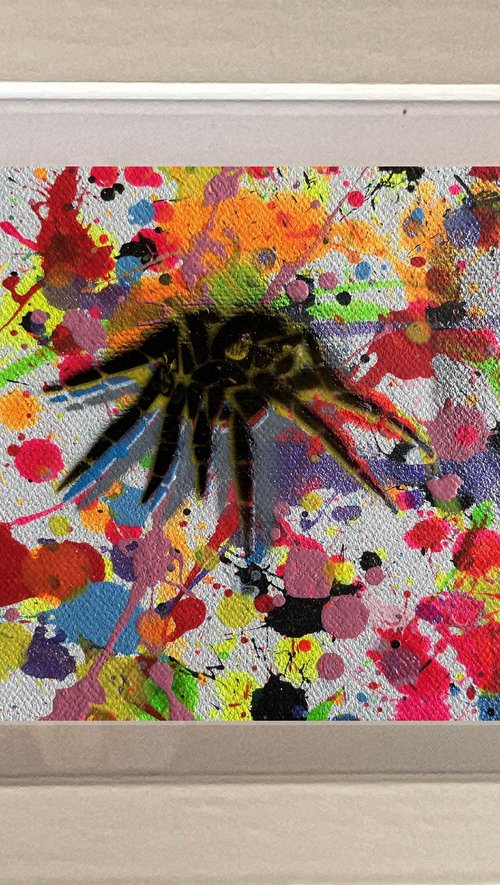 Insects 007 by Juan Jose Garay