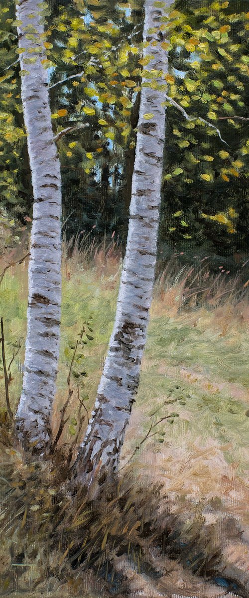 Two Birches by Dejan Trajkovic