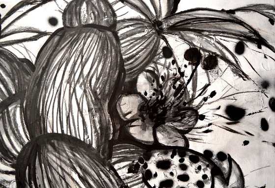 Sur Plants 2