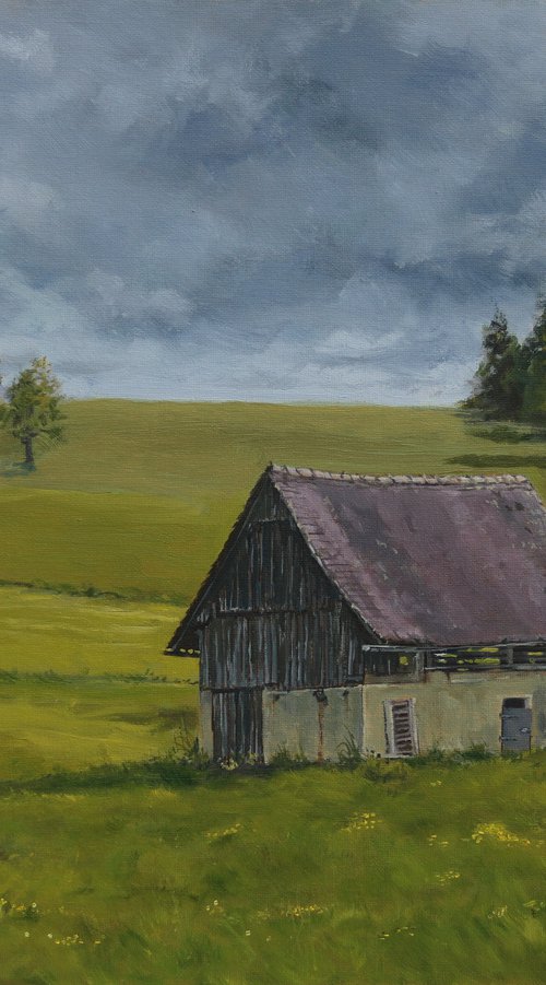 Small barn in meadow by Tom Clay