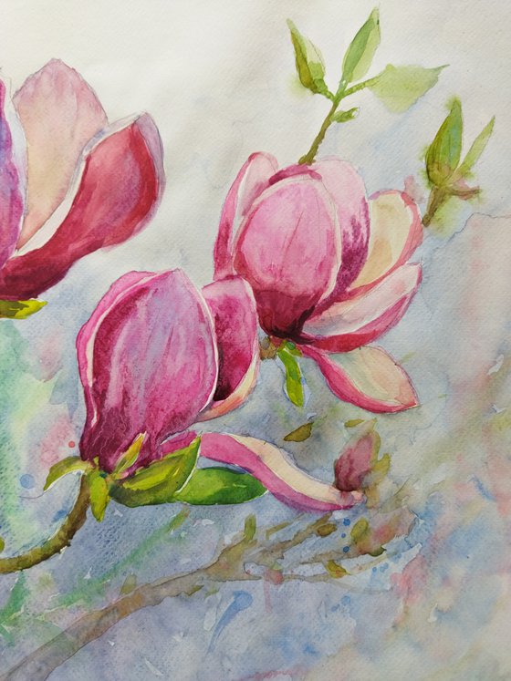 Magnolia