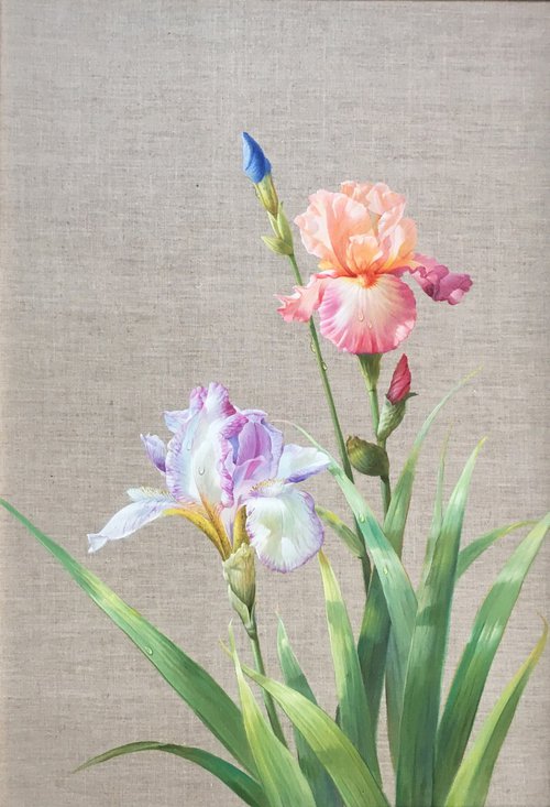 Elegant flowers 186 by Kunlong Wang