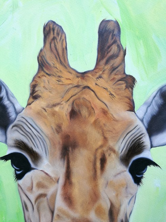 You've Got Some Neck. Giraffe Painting. Oil on Paper. 42cm x 59.4cm. Free Shipping