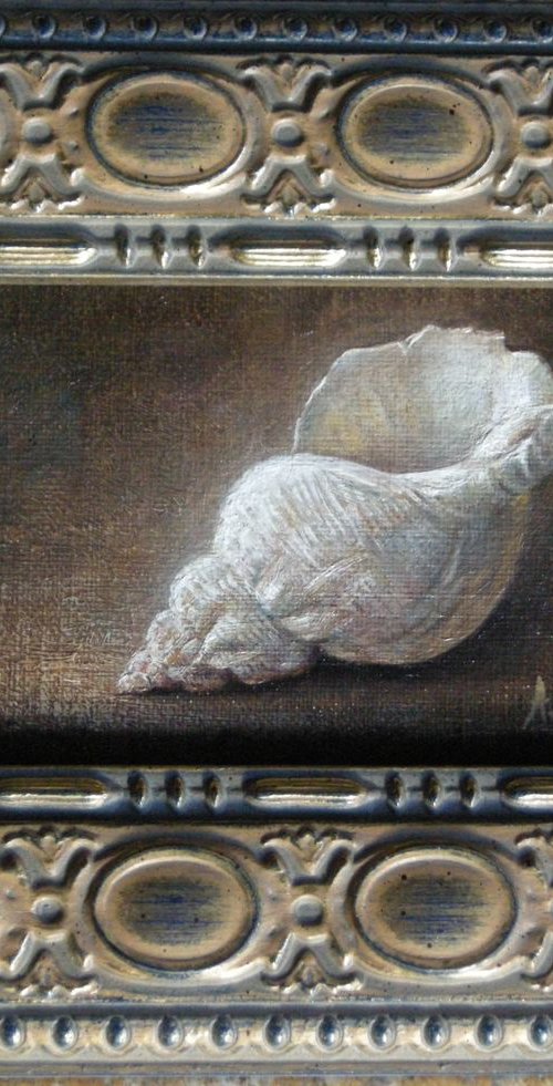 Shell by Alexandre Barbera-Ivanoff
