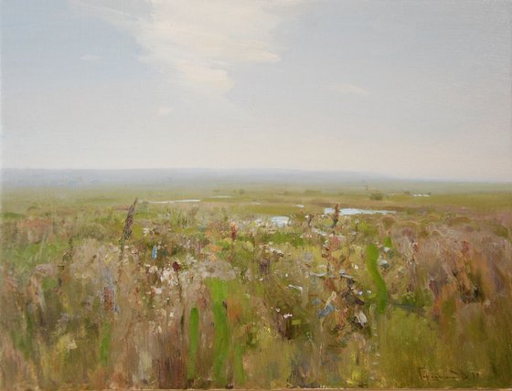 Еxpanse 35x46cm