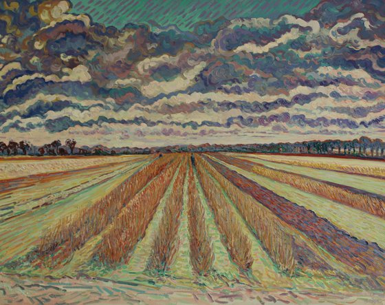 Field of Rasberry Canes