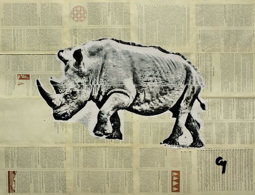 Ordinary Rhino. by Marat Cherny