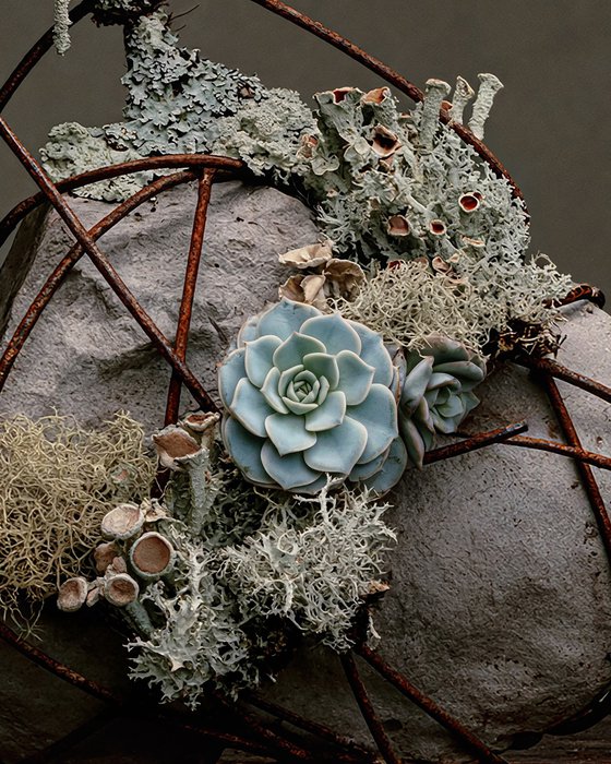 RUSTY ROOTS
- studio edition