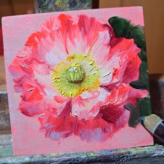 Poppy painting original