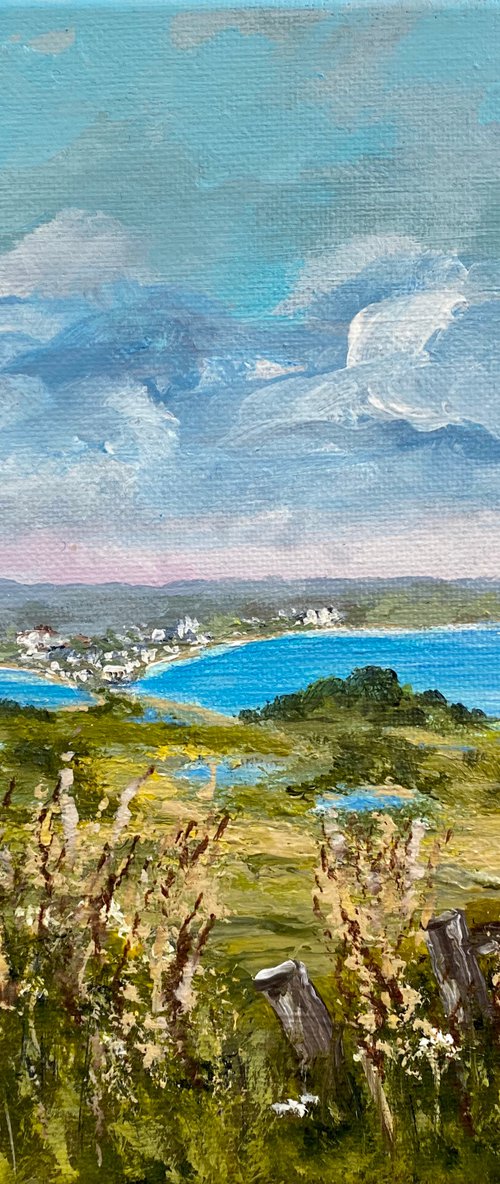 Poole Harbour from the Purbeck Hills by Marja Brown