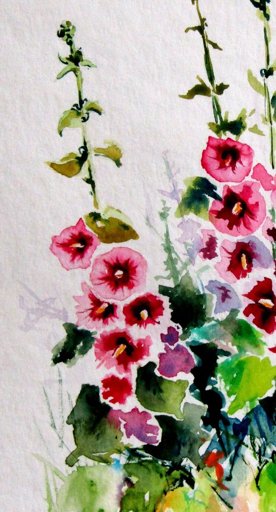 Mallow floral