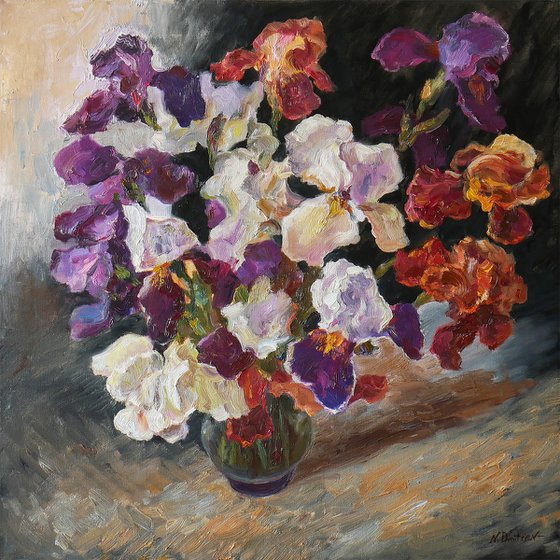 Velvet Iris Symphony