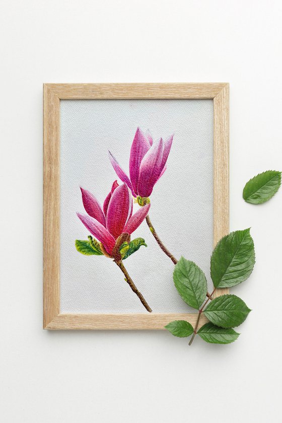 Magnolia (ii)