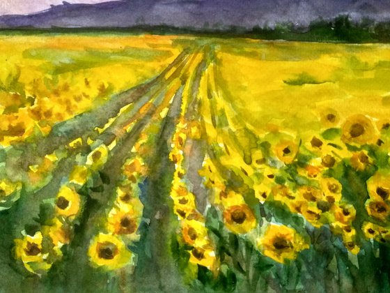 Landscape with sunflowers