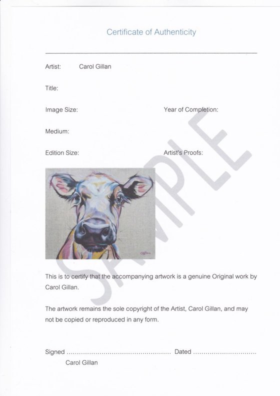 Munro - original oil Highland Cow, canvas on board, 20 x 20" unframed