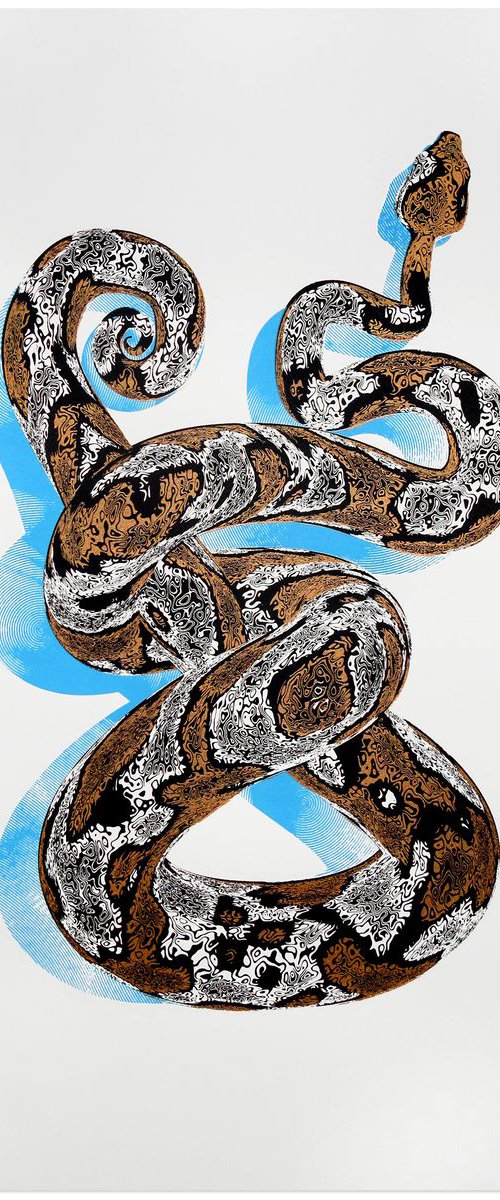 Snake by Chris Keegan