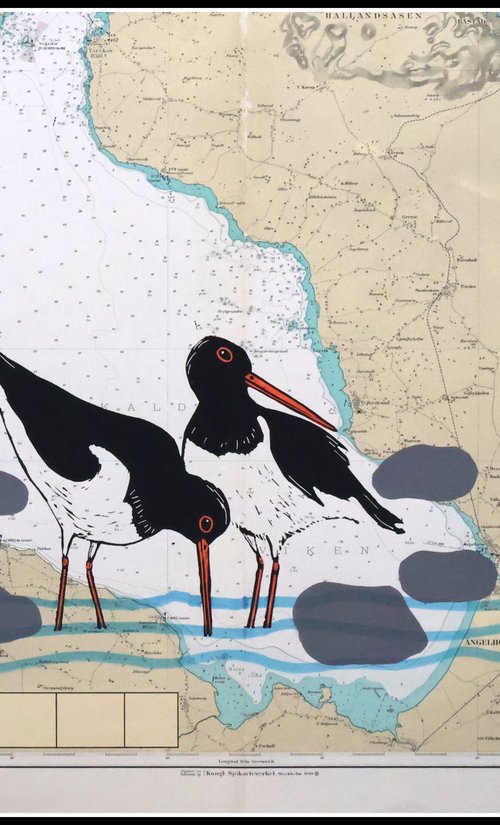 Oystercatchers Kattegatt by Mariann Johansen-Ellis