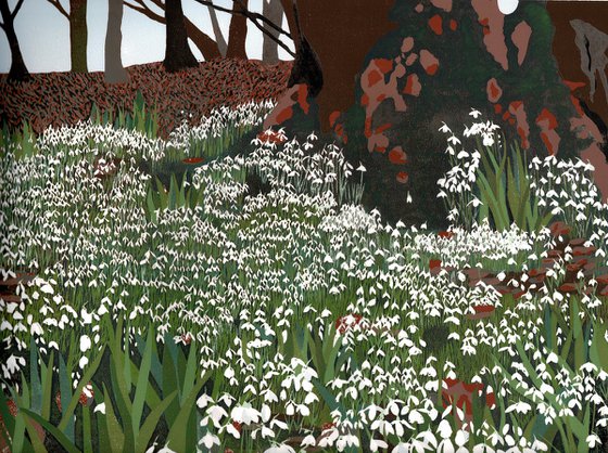 Snowdrop Woods