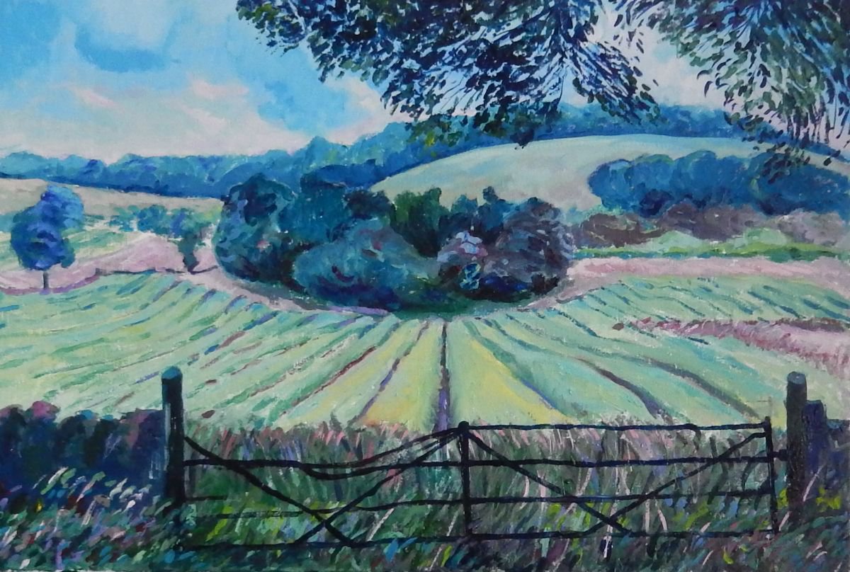 Gate To A Field In Fife, Scotland by Stephen Howard Harrison