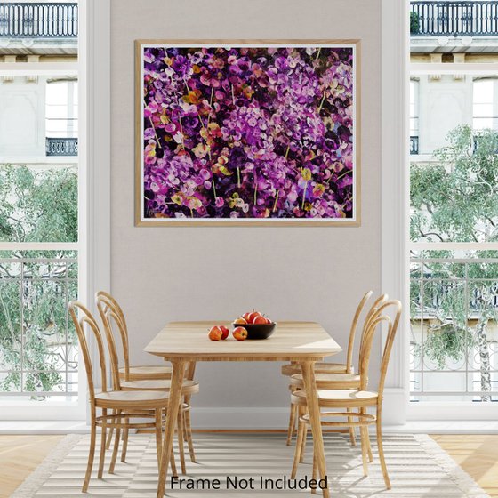 Violet Rhapsody