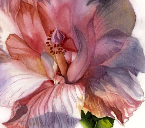 dreamy in pink, floral watercolor